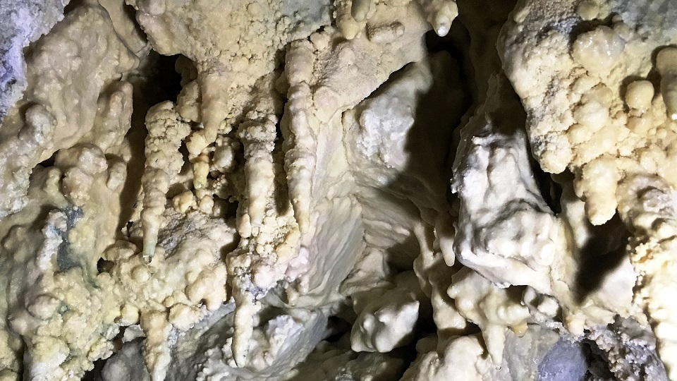 Imagen donde se ven estalactitas, formación de carbonato de calcio propio de las cavernas