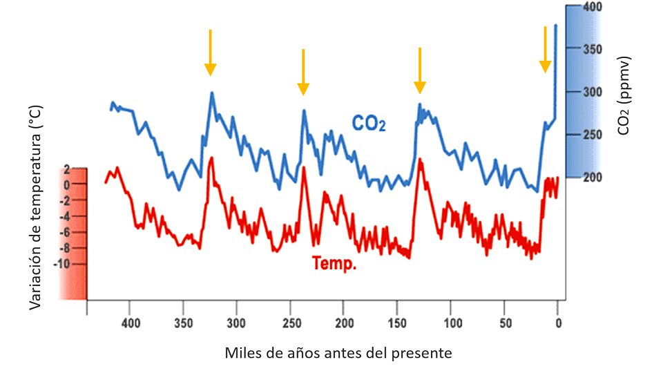 Diagrama donde se observan dos líneas una azul de dióxido de carbono y otra roja que señala el tiempo y como este ha variado a lo largos de los años y tienen relación con las glaciaciones