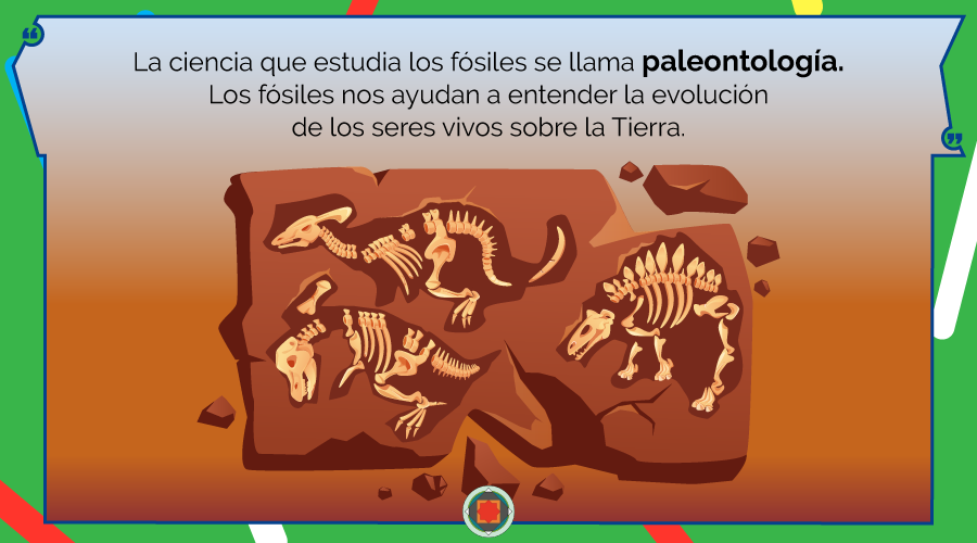 Paleontología